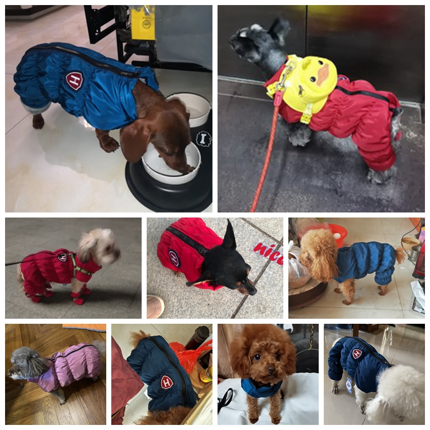 Zipper Snow Unisex Dog Waterpr - огляд і ціна Winter Clothing For Babies